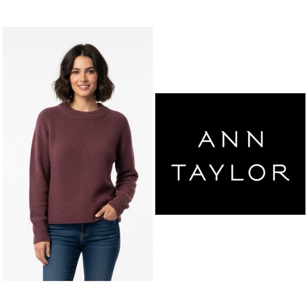 Ann Taylor Women's Sweater PM, Terracotta color